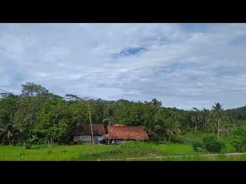Cuaca seger dan asri dikampung-original vidio