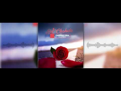 Dil Chahida (Slowed Reverb) : Chiman Zira | New Punjabi Song 2023 | Latest Punjabi Songs 2023