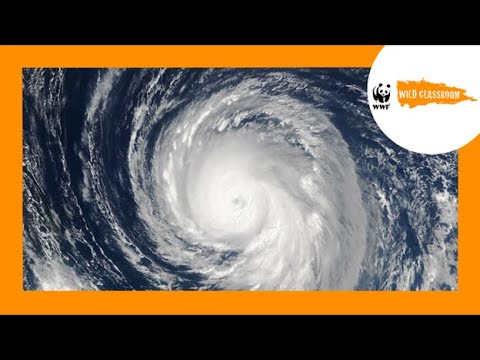 How Do We Identify Climate Change?