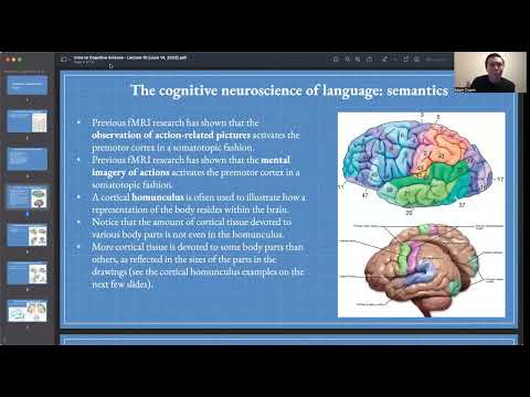 Lecture 10: The Cognitive Neuroscience of Language II: Semantics | COGSCI 1 | UC Berkeley