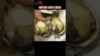 전복 암수 구별법 1분꿀팁! #전복 #전복요리 #전복손질 #전복먹으러갈래