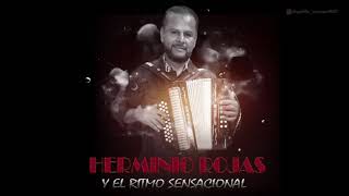 La historia de mi vida (Audio Oficial) - Herminio Rojas y El Ritmo Sensacional