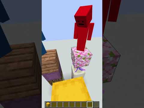 Minecraft Guess The Block 2