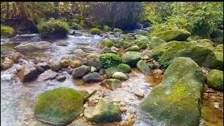 voice for healing, voice for peace, voice for peace of mind.  (ASMR)