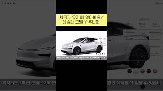 테슬라 모델Y 주니퍼 얼마?