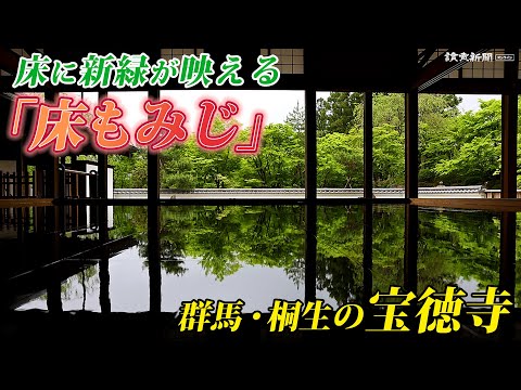 春の風物詩「床もみじ」、磨かれた床にヤマモミジが映り込む…群馬・桐生