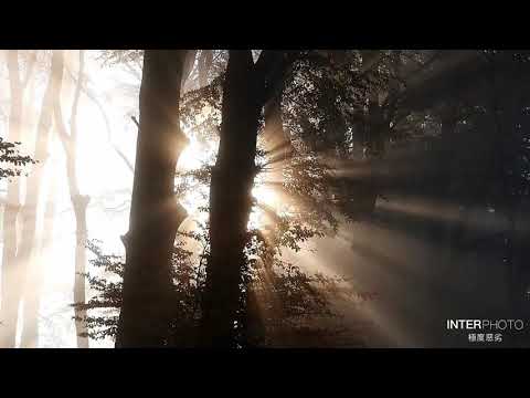 舒壓輕音樂Relaxing light music
