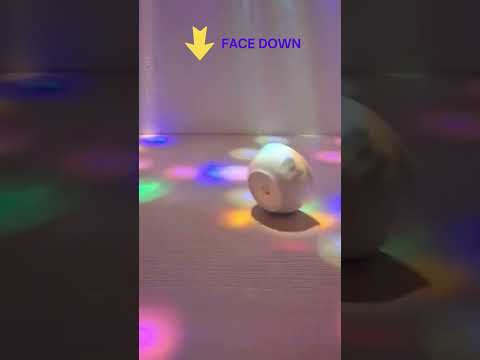 ASMR Relaxation Sound | Small Ceramic Bowl spin on Wood Surface #shorts  #asmr #asmrsounds #funny