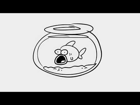 The Goldfish just goes...