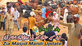 Zia Masjid Mandi Khanapul Rawalpindi Islamabad Update 1 June 2025 | Bhatta Chowk Mandi