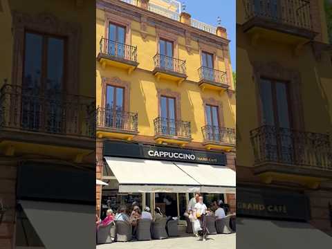 Drinks｜Seville｜Spain