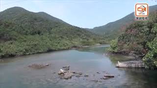 大潭水塘現半裸屍體　證實為69歲失蹤漢
