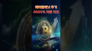 日 메타플래닛이 4000% 대박친 이유