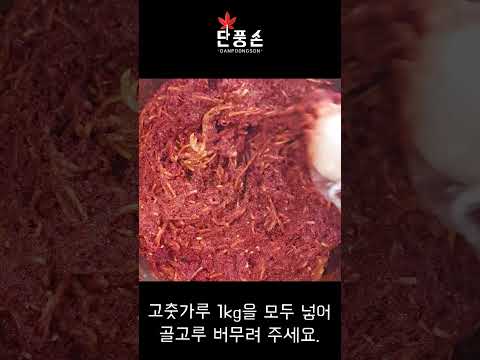 [절임배추 20kg 김장] 인생 첫 간단하고 맛있게 김장 김치 담그는 만드는 법 황금 레시피!