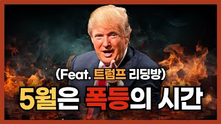 5월 주식, 코인 시장은 트럼프가 끌어올릴 겁니다