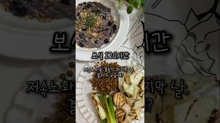 보식 #마지막날 #몸대청소 #저속노화