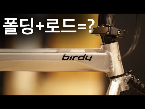 5년에 한번 나오는 뉴버디 한정판 모델