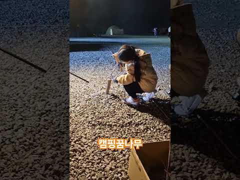 캠핑꿈나무 장작패기