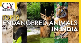 Top 10 Endangered Animals in India | Endangered Species