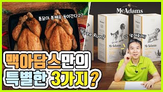 자유방목 홀치킨 영국사료 맥아담스의 특별한 특징 3가지! McAdams