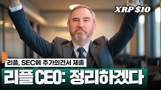 리플 SEC에 추가의견서 제출, 리플 CEO: 정리하겠다 #XRP