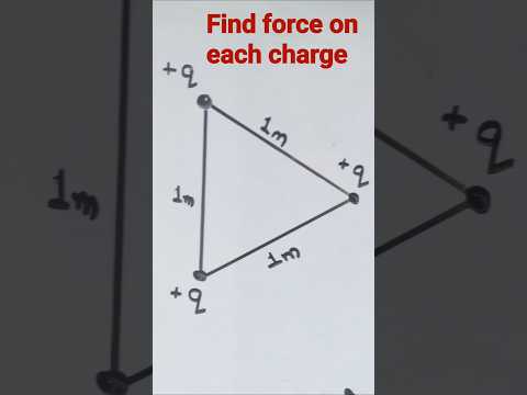 Find the force on each charge | Class 12 physics