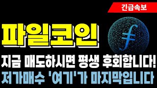 [파일코인 전망]  지금 매도하시면 평생 후회합니다! 저가매수 '여기'가 마지막입니다!