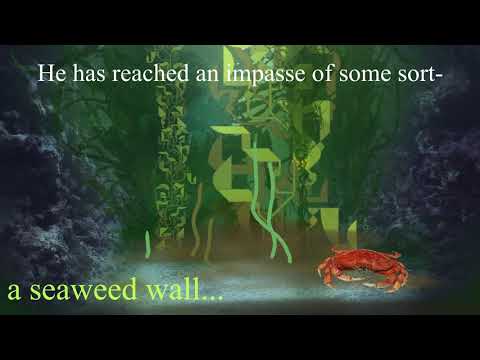 Cranp Discovery- Ep. 5