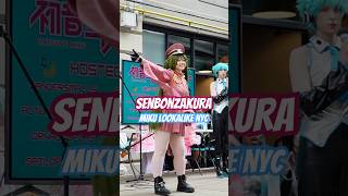 FIRST Ever Senbonzakura Miku Cosplay 🌸 NYC Lookalike 2025 #hatsunemiku #vocaloid #projectsekai