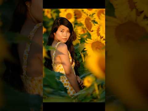 Golden Fields of Sunflowers: Photoshoot Inspiration🌻#ytshorts #sunflowerfield #PortraitPhotography