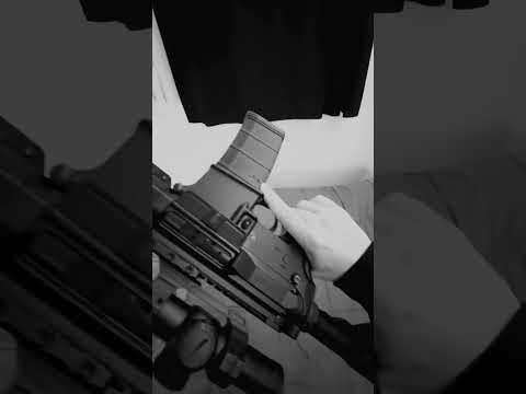 AR-15 FN Guardian