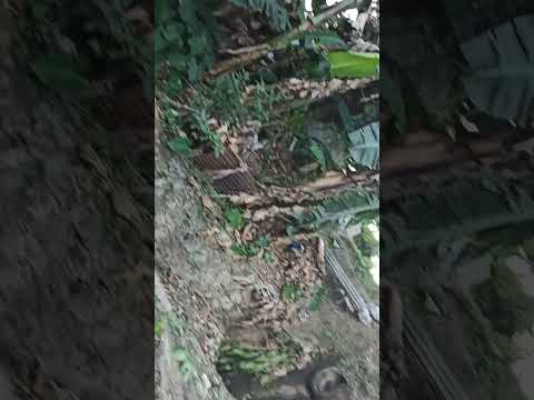 free parking,nakatulog driver, be safe always