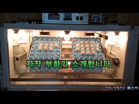 자작 부화기 소개합니다