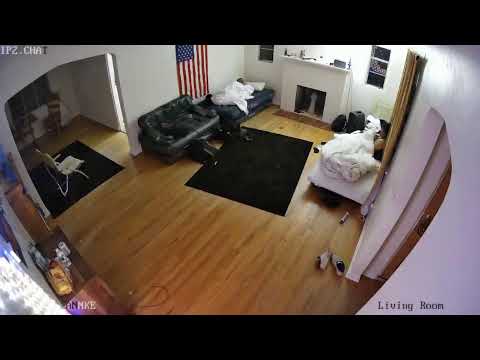 spictank 24/7 cams