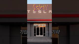 주니퍼 테슬라 최신 소식! 테슬라 대폭락? 유명 애널리스트가 전량 매도한 충격적 이유!  애플 유저 깜짝 선물까지!