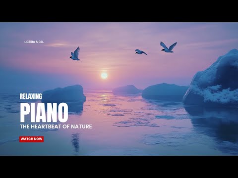 Soft Somber Piano: Relaxing Music for Stress Relief & Sleep
