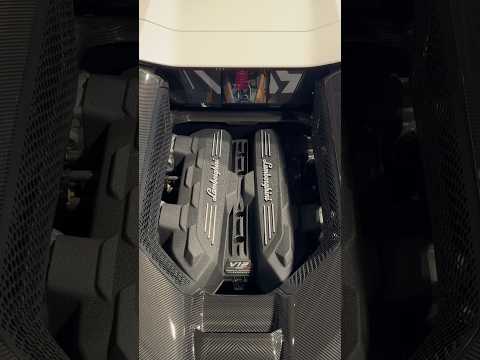 Lamborghini Revuelto - the mighty V12 ! 💪