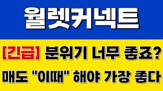 [월렛커넥트 코인] 긴급 분위기 너무 좋죠? 매도 "이때" 해야 가장 좋습니다