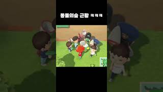 동물의숲 근황 ㅋㅋㅋ
