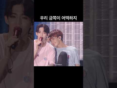 [세븐틴/에스쿱스,정한] 우리 윤쪽이 어떡하지