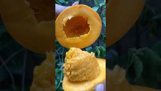 #simple mango 🥭 carving cutting designs skills #mango cutting #skills #foodart
