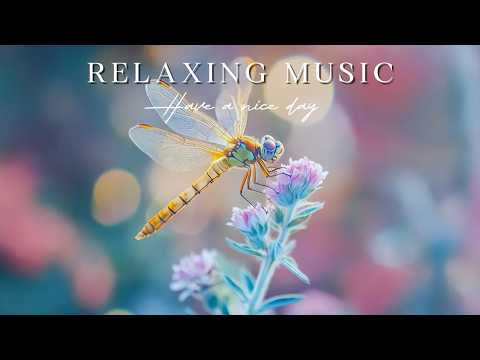 🌳 Revive Your Essence | Tree Canopy Pure Piano | Oxy Music