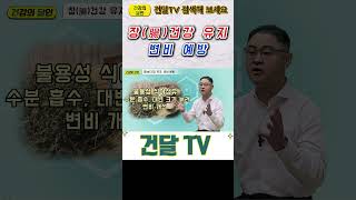 [건달TV] 장(腸)건강 유지와 변비 예방#차전자피#건달TV#건강정보
