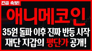 애니메코인 -150원 지지 이후 진짜 반등 시작된다! 재단지갑의 평단가 공개 #애니메코인 #에니메코인 #애니메코인전망 #애니매코인