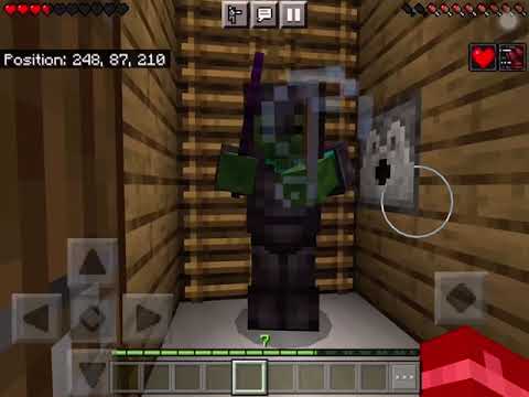 I was giving my Minecraft Zombie friend my netherite gear and shield and this happened