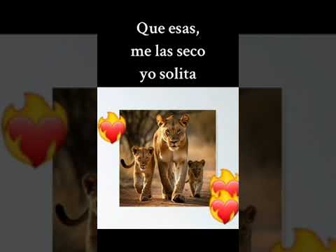 por mis hijos muero y mato💪🏾😏❤️‍🔥