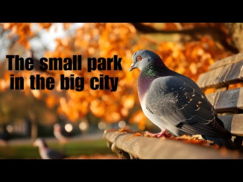 The small park in the big city