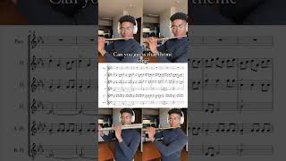 Name that theme song!! #themesong #fluteplayer #musician #musiciansofinstagram