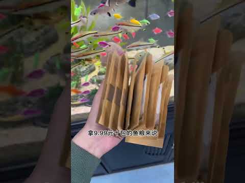 #养鱼日记 观赏鱼喂食教程终于来了，学会正确给鱼喂食，才能让鱼长个不浑水#喂鱼 #观赏鱼粮