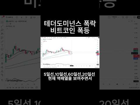테더도미넌스 폭락 비트코인 폭등